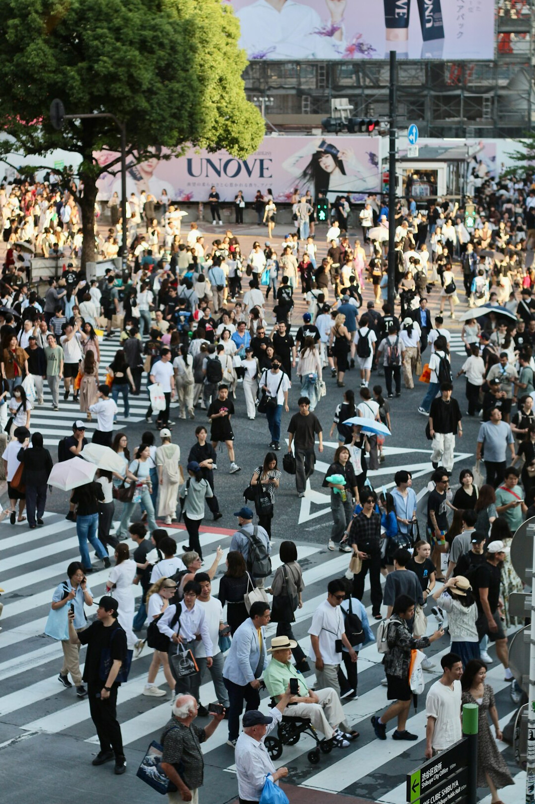crowd crossing busy intersection